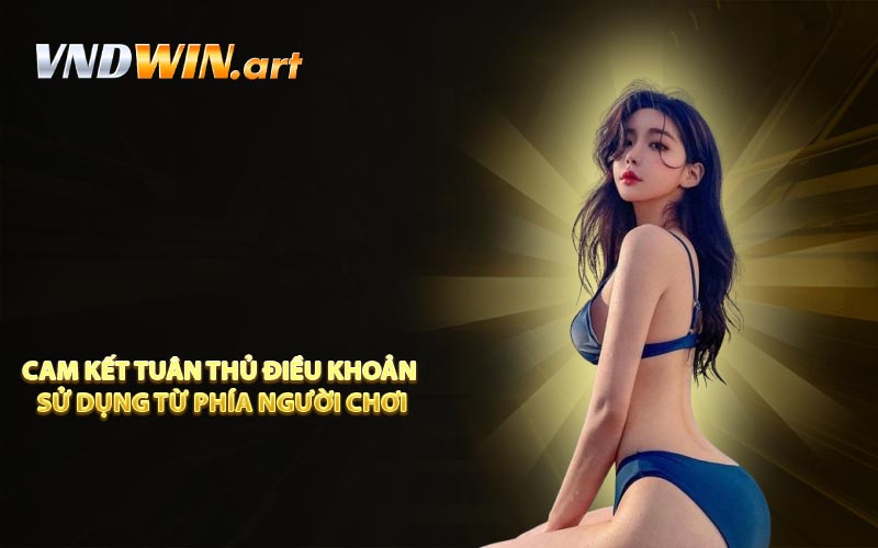 Cam kết tuân thủ điều khoản sử dụng từ phía người chơi
