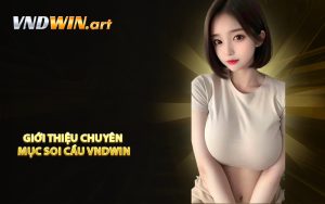 Giới thiệu chuyên mục Soi cầu VNDWIN